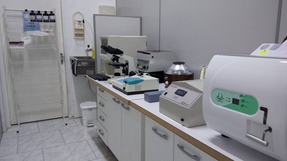 clinica veterinaria