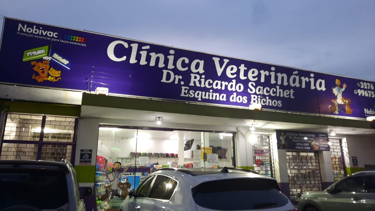clinica